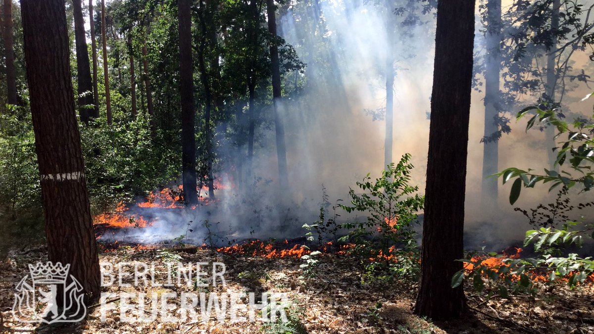 Mehrere #Vegetationsbrände beschäftigten uns letztes Wochenende.
Um diese zu vermeiden sind in #Berlin Rauchen, Grillen und offenes Feuer im Wald und deren Nähe ganzjährig verboten.
Wer einen #Waldbrand entdeckt sollte sofort die #112 wählen.
Weitere Infos bit.ly/42mMTfw