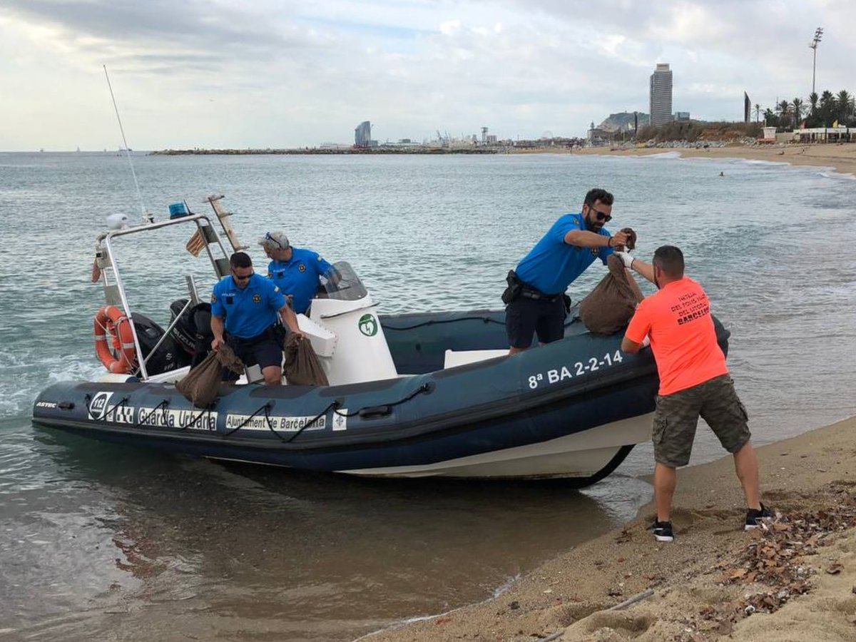 GUBBarcelona's tweet photo. #BondiaBCN 👮🏻🏖️ Amb el lema #SinContaminaciónPorPlásticos, ahir es va celebrar el Dia Mundial del Medi Ambient. El @cegub_ del nostre cos col·labora anualment amb la Neteja del Fons Marí de la ciutat per ajudar a retirar la brutícia que contamina les nostres aigües. https://t.co/9b2AHiq3iY