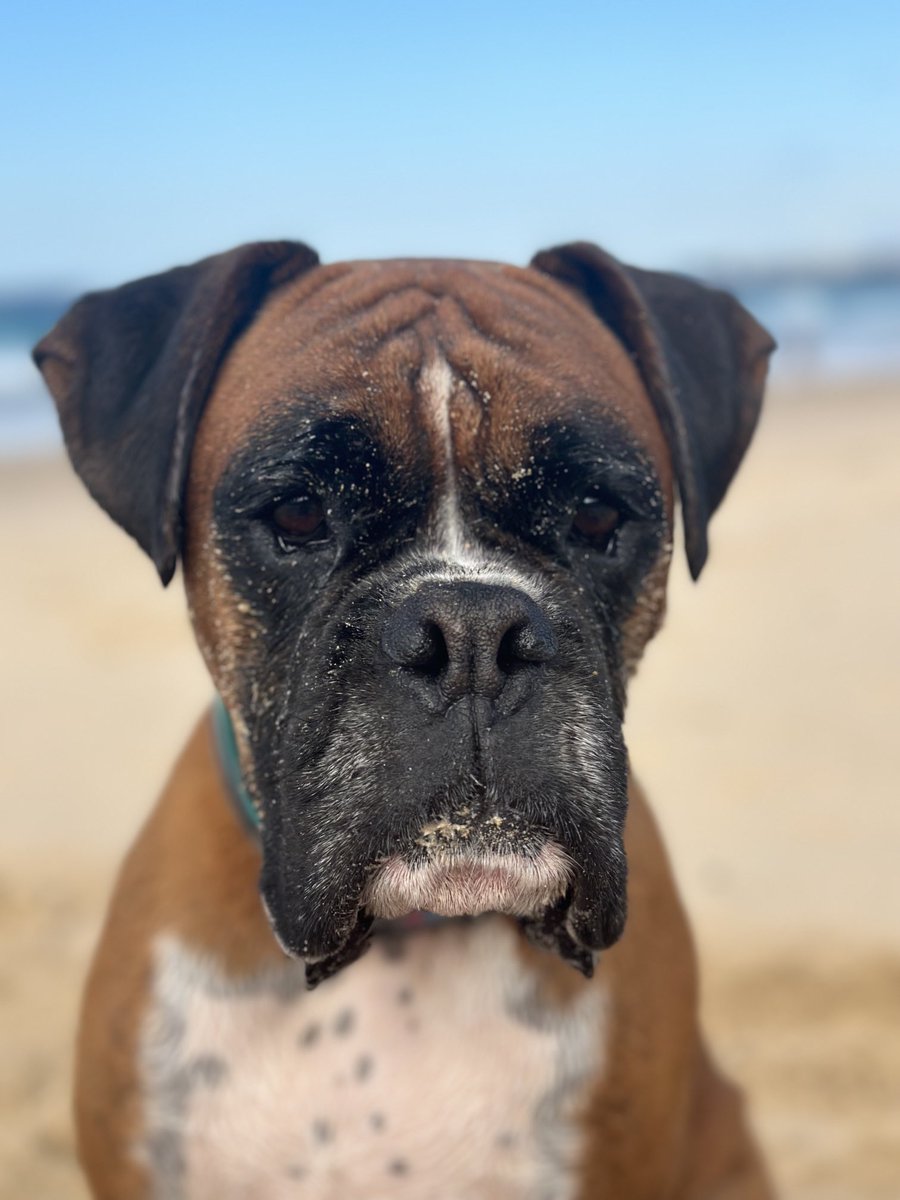 Harper is wondering if summer will be back soon?