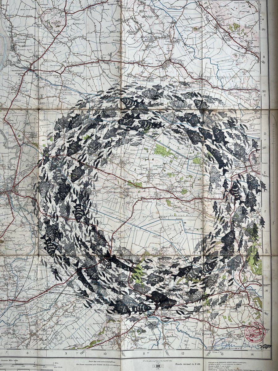 WreckDive's tweet photo. Freshwater fish stamp print-work, on a 1930 map of Somerset. #duncancameron #art #artist #artwotk #fish #freshwaterfish #fishing #map #somerset #mapart #oldmap #print #printmaking https://t.co/OBKEV3zuJ2