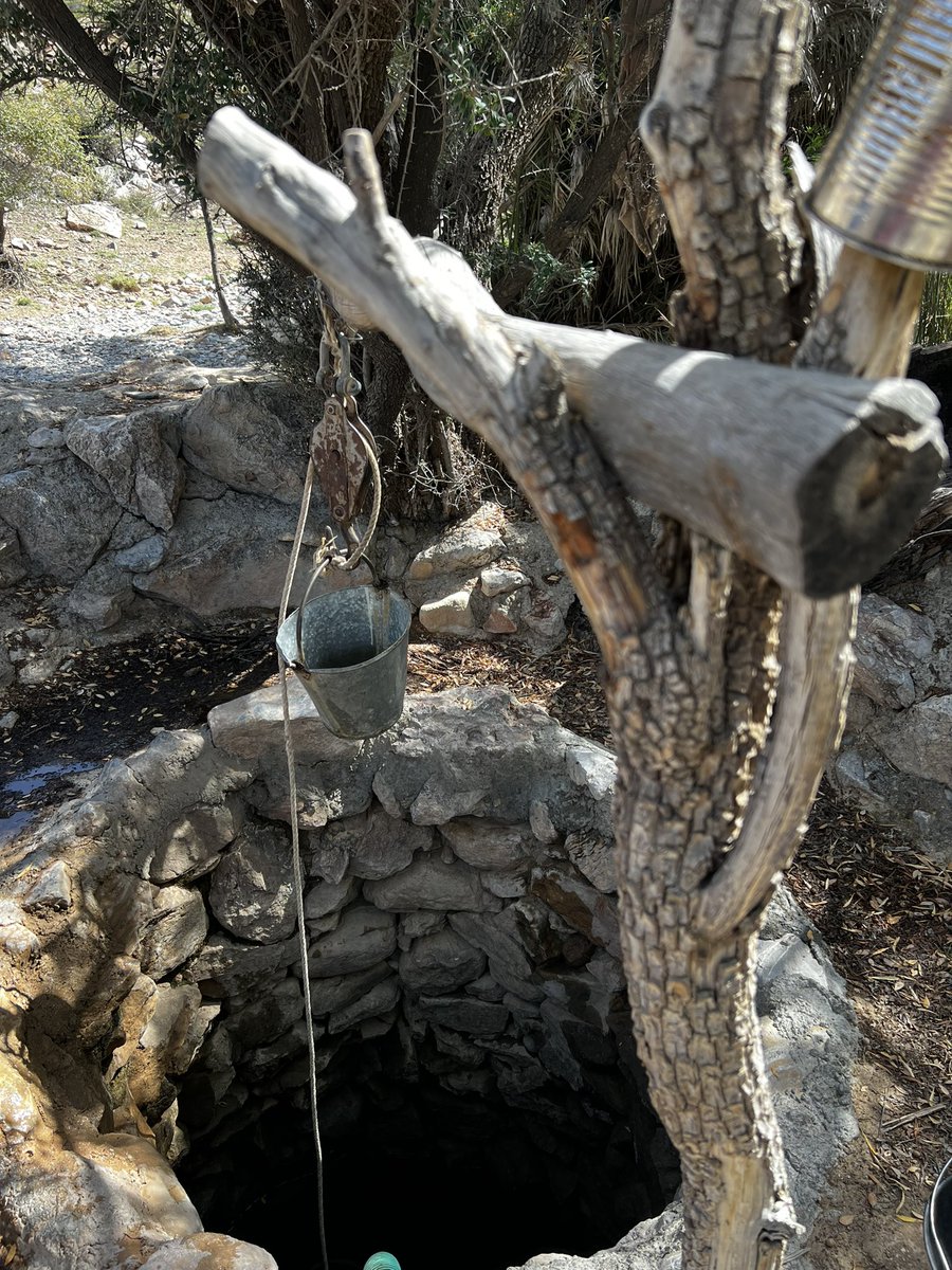 " يُطرب أذنيك هديل حمامة .. ويكحِّل عينيك غصن أخضر .. ويأسر قلبك سحابةٌ تهمي ..
حقاً إن في التأمل حياة  "