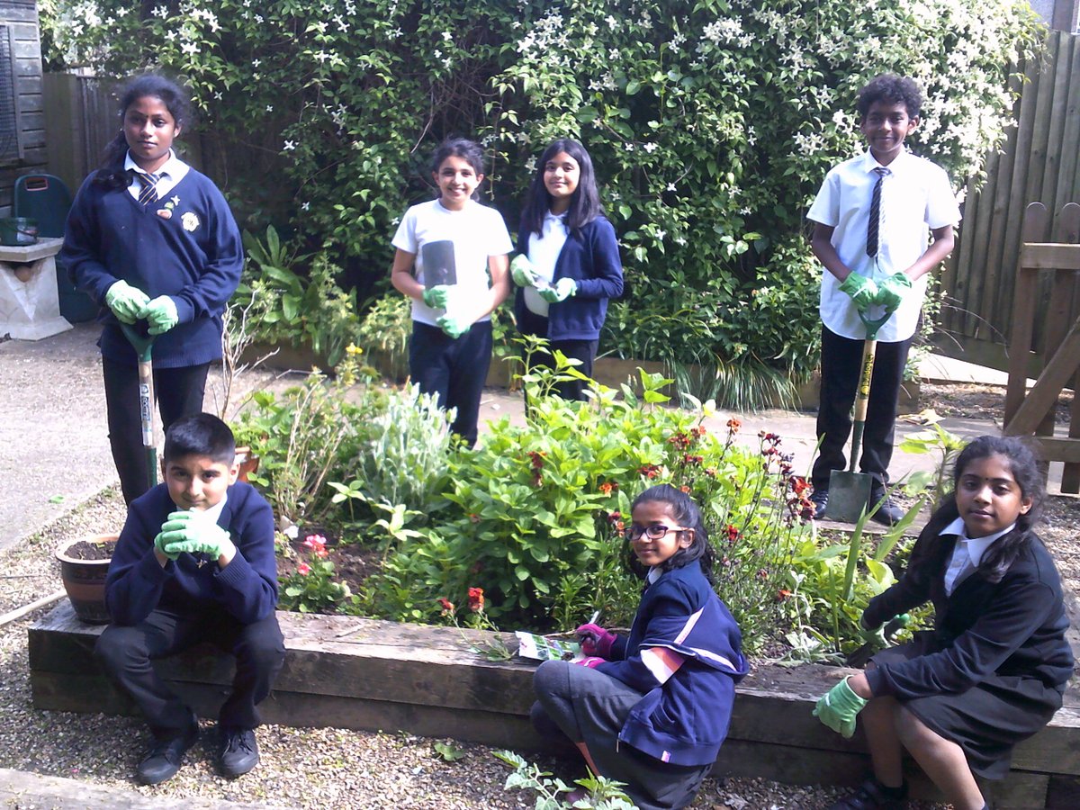HLPrimaryNews's tweet photo. The gardening club are celebrating all the flowers that have grown up which they have been looking after over the last few months! https://t.co/zqOvZYIJSN