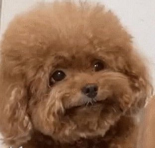 do0kyeom's tweet image. dogyeom 🐶
