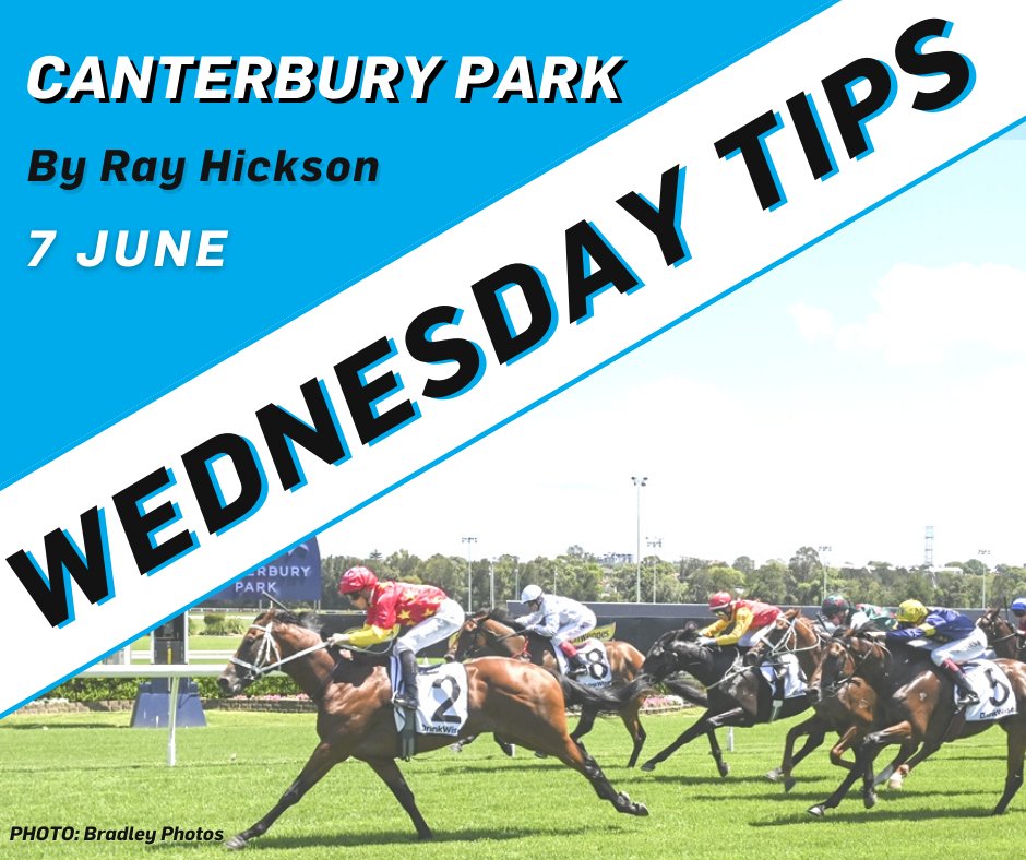 Racing NSW on Twitter "Canterbury hosts SEVEN races on Wednesday, check out ray_hickson's tips