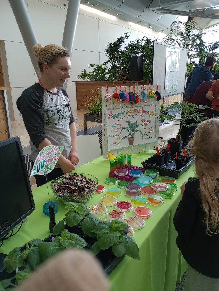 Thanks to everyone <a href="/DanforthCenter/">Danforth Center</a> and in the Bart and Carrington labs for a successful @PlantTechJam! What did we learn? Plants get sick and microbes are fun.