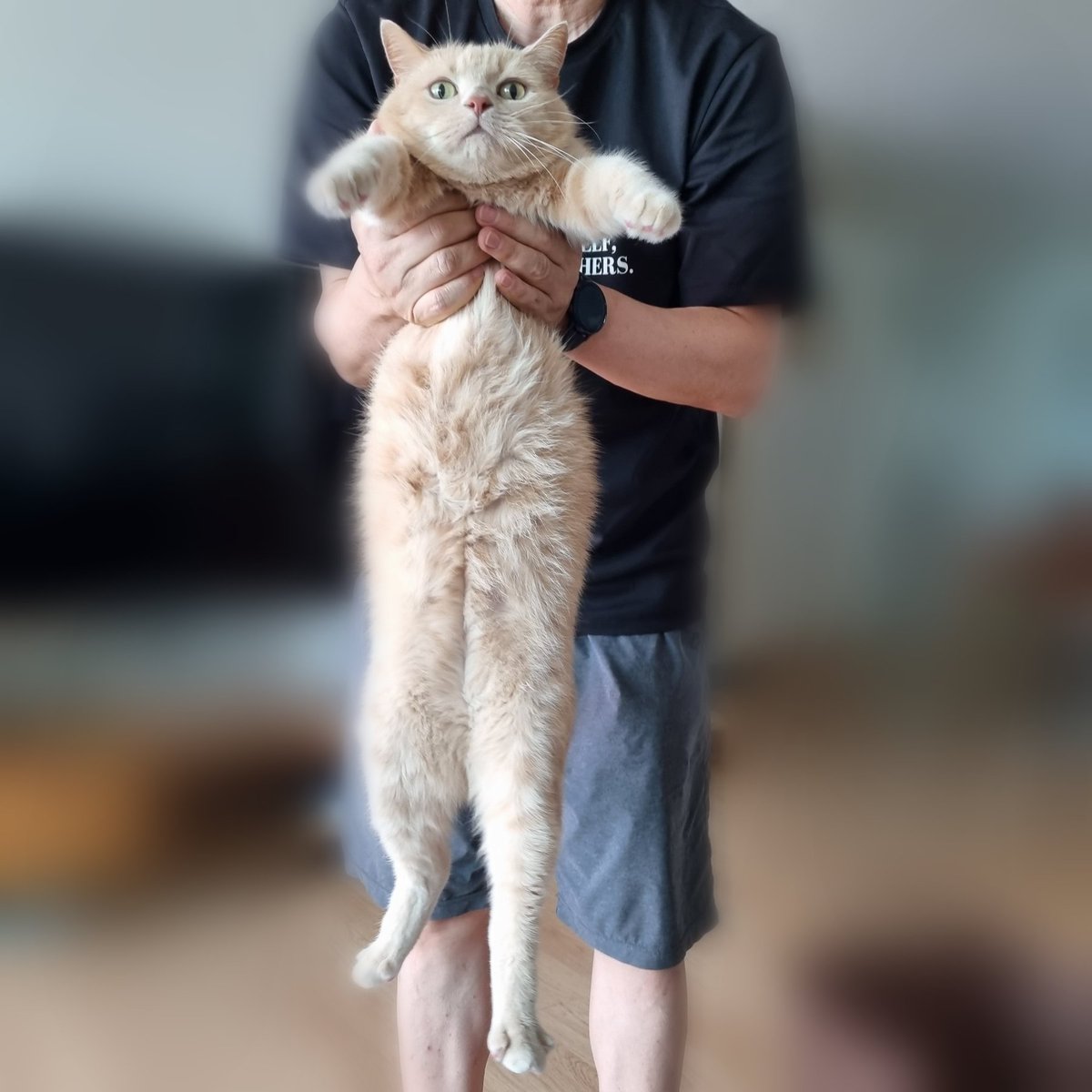 방 청소 방해 죄로 쫓겨남ㅜㅜㅋㅋㅋㅋㅋㅋㅋㅋ