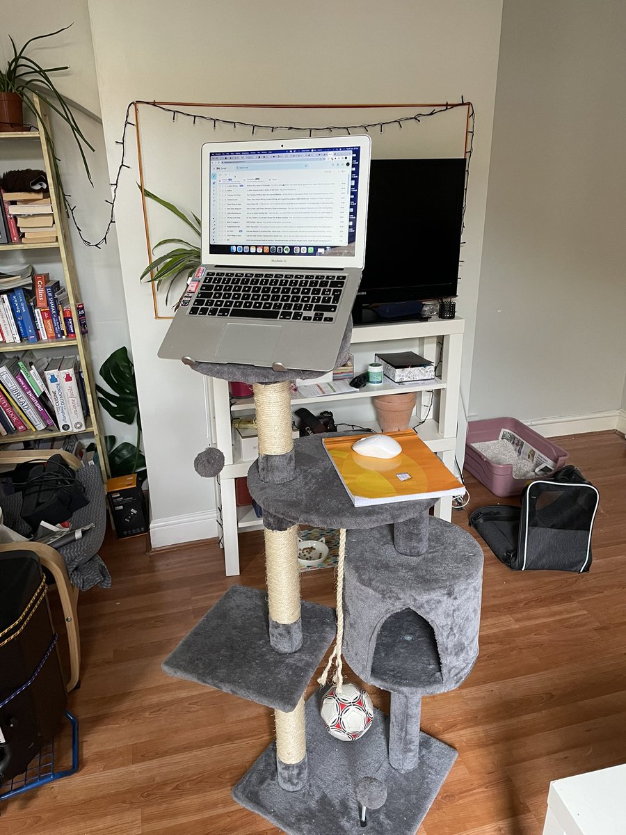 Finally found a way to use this cat tree. Writer’s life is made standing 
#WritingCommmunity