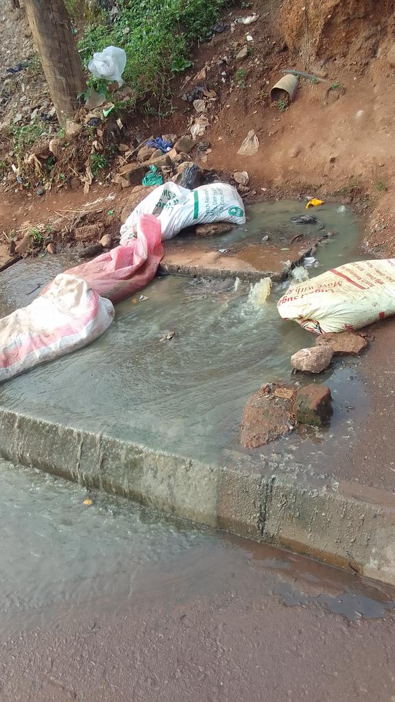 King Basenj (@basenj) on Twitter photo 