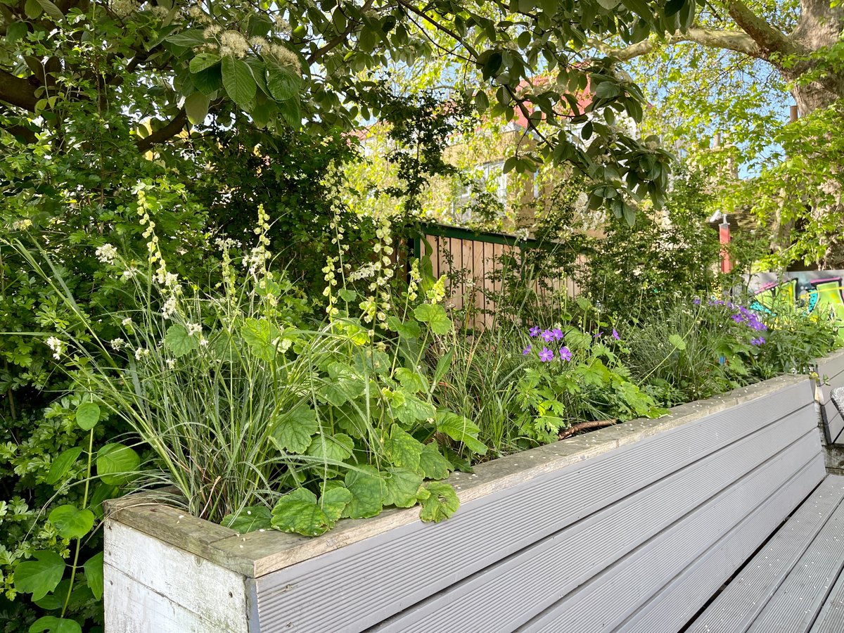 ELWaterworks's tweet photo. It's #GrowingforWellBeingWeek!
Gardening and being surrounded by plants is good for everyone!
Did you know our ecology volunteers planted bee & butterfly-friendly, drought-tolerant plants at @ThePrincess_E5 which overlooks our future site? https://t.co/kVn2KvWdcA