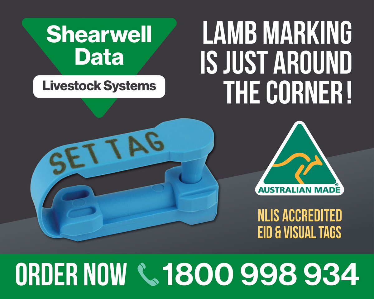 Shearwell Australia tweet media