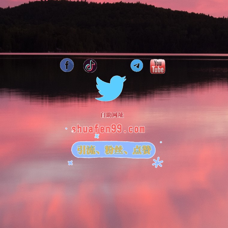 推特粉丝 tweet media
