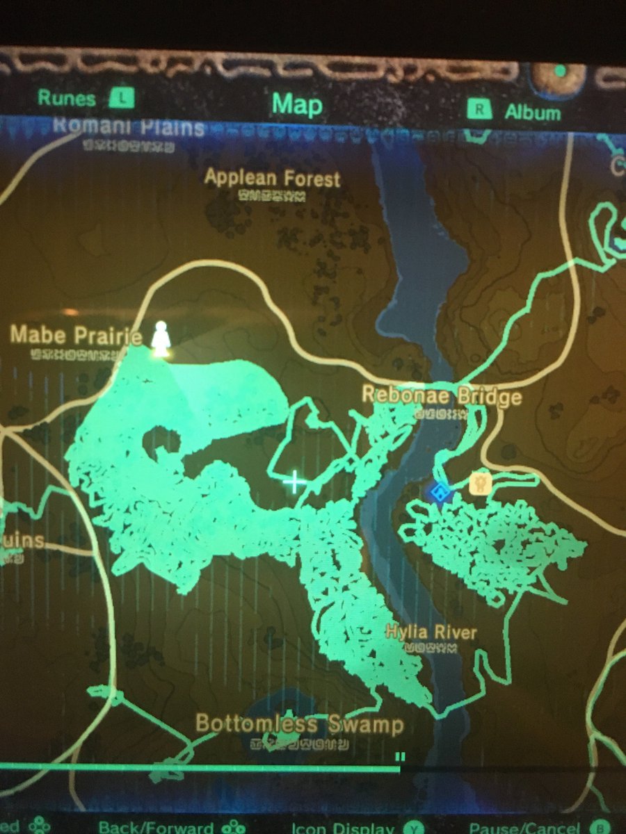 stratusfere's tweet photo. playing a game in a "normal" way is overrated this is what i spent my time doing in botw (making link spin in circles and cut down all the grass in an area) https://t.co/pfqq549moq
