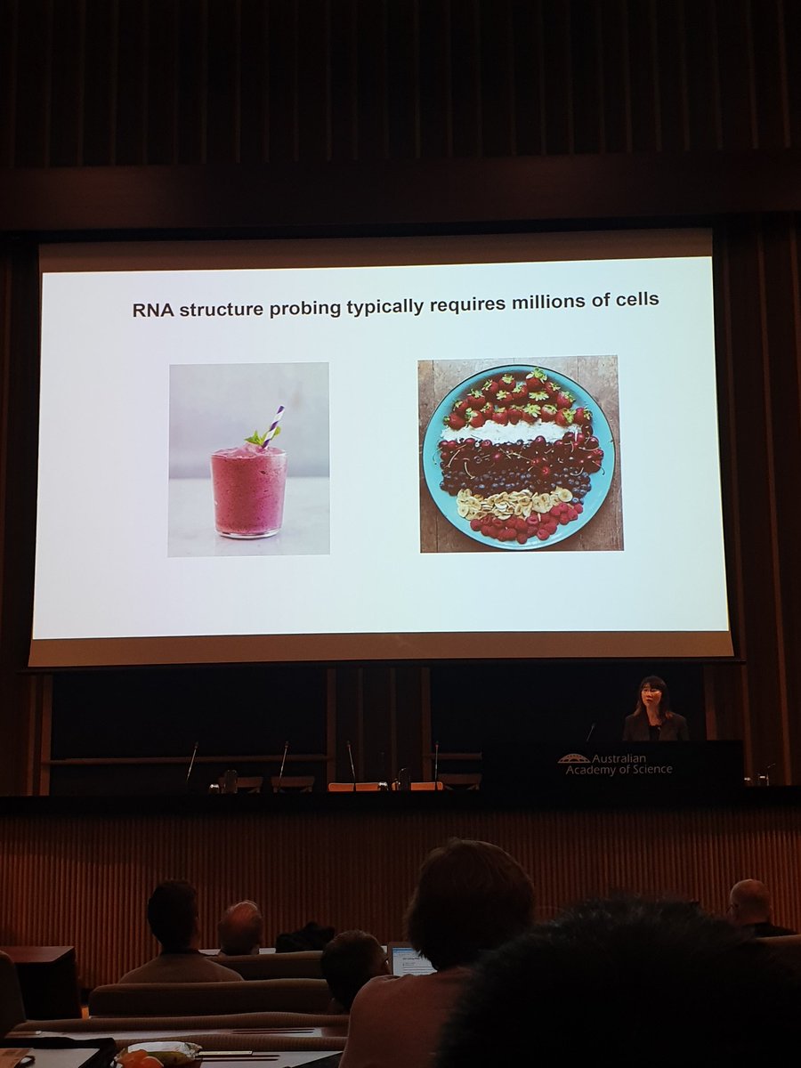 Stellar presentation from <a href="/ywan_wan/">Yue Wan</a> filled with so many great RNA analogies #Shinedalgarno50 #ARNA2023 #RNA
