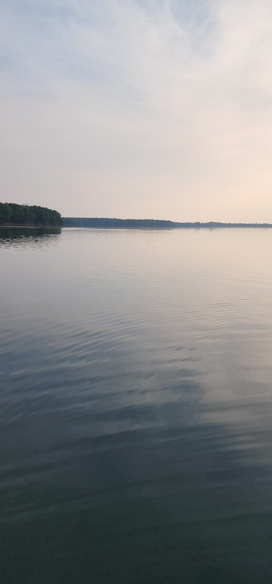 Kenny Carter tweet media