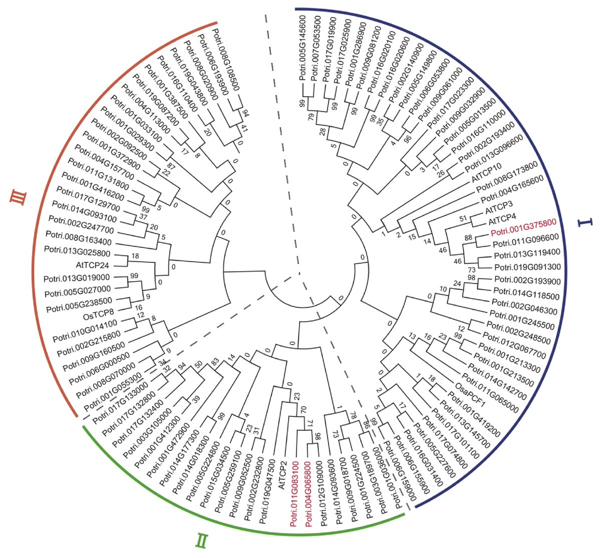 ForestryRes's tweet image. 🍃 New insights into leaf development and morphogenesis in poplar! Explore the fascinating world of microRNA319-mediated gene regulatory networks and their profound impact on poplar leaves. 🌿 
Details: maxapress.com/article/doi/10…
#LeafDevelopment #GeneRegulation