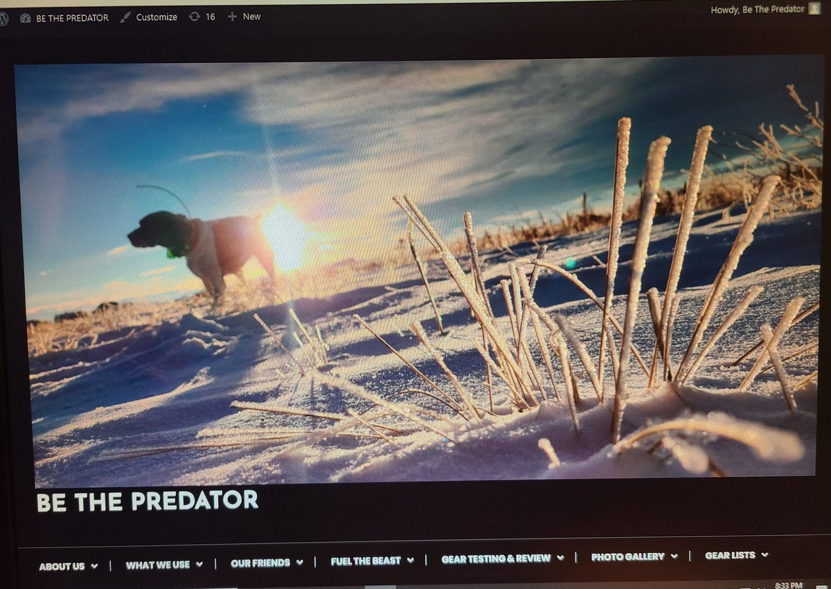 Be_The_Predator's tweet photo. Long overdue,  but we are FINALLY updating the website.  New photo gallery up, new content on the way!

#be_the_predator #huntingblog #hunting #birddogs #germanshorthairedpointer https://t.co/ueUSMWplS6