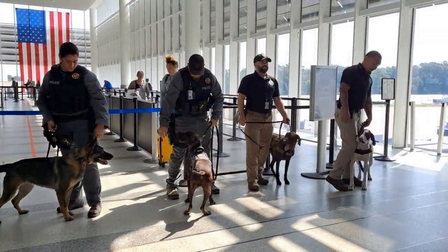 On Patrol K9 on Twitter "CHS adds trained bombdetecting K9 teams to