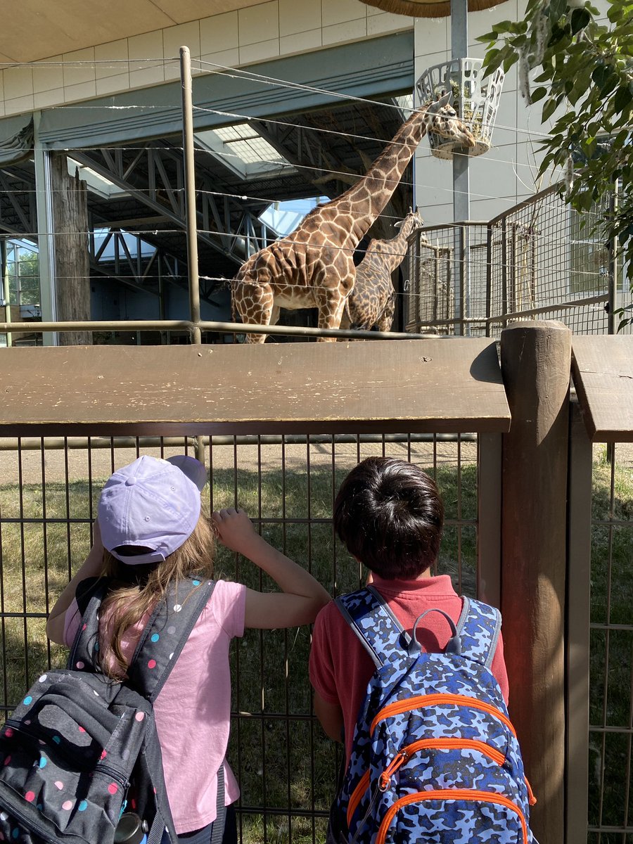 McFarlanesClass's tweet photo. What an amazing day we had at the @calgaryzoo we saw so many new baby animals and had such an amazing time hearing about how the zoo is meeting all the animals needs! https://t.co/E3wt2GyjEd