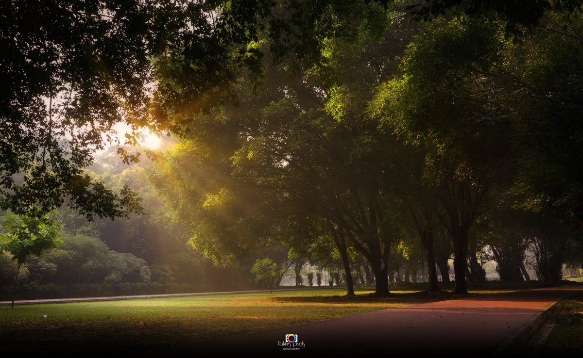 gpuftw1337's tweet photo. Please reconsider the camera ban at Ram Manohar Lohia Park. As a passionate photographer, it's my morning meditation and artistic expression. Let's find a solution to support local artists and peaceful spaces. 
#supportlocalartists 
@CMOfficeUP  
@LDA_Lucknow 
@AdminLKO https://t.co/pvaKmbc63y