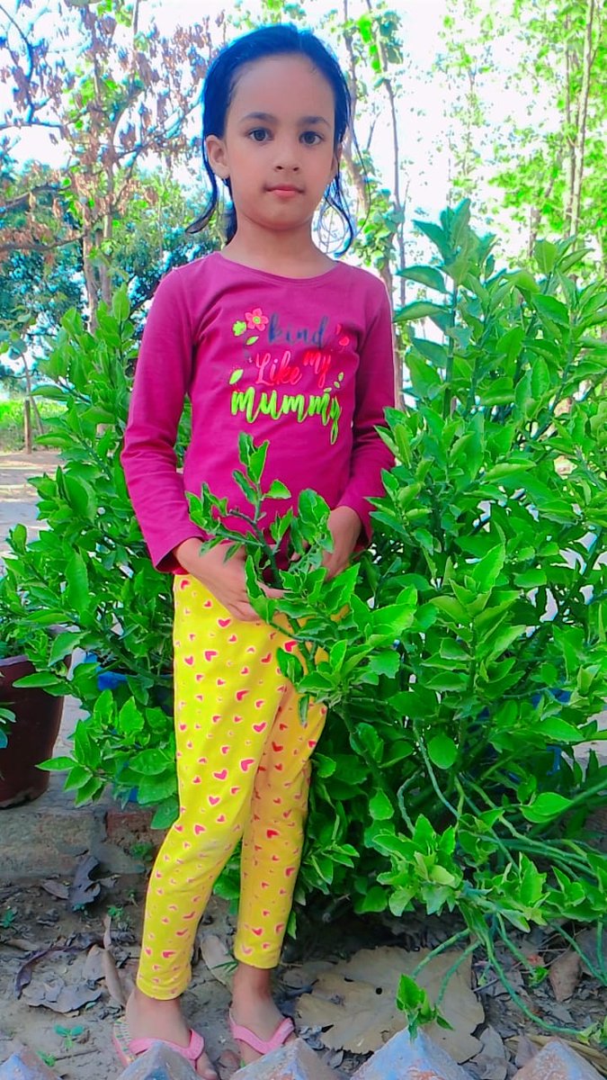 Lakshya_society's tweet photo. Our youngest environmental activists
#DHARA_RAI
Plant 🪴 a tree 🌳 to for
#Healthy_Planet
#Clean_Environment
#Food_Security
#WorldEnvironmentDay2023
#WorldEnviornmentDay
#EnvironmentDay2023
#EnvironmentDay
#BeatPlasticPollution
#BeatPlasticSaveSoil
#pollutionplastique https://t.co/AogAhyvEFF