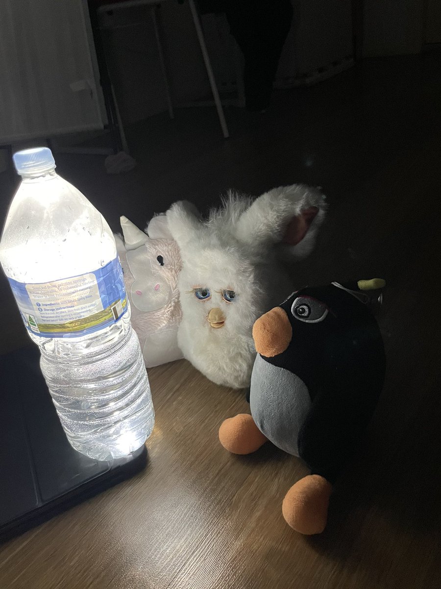 電線の工事で家が数時間停電しました😳 みんなと一緒ならこわくないね！