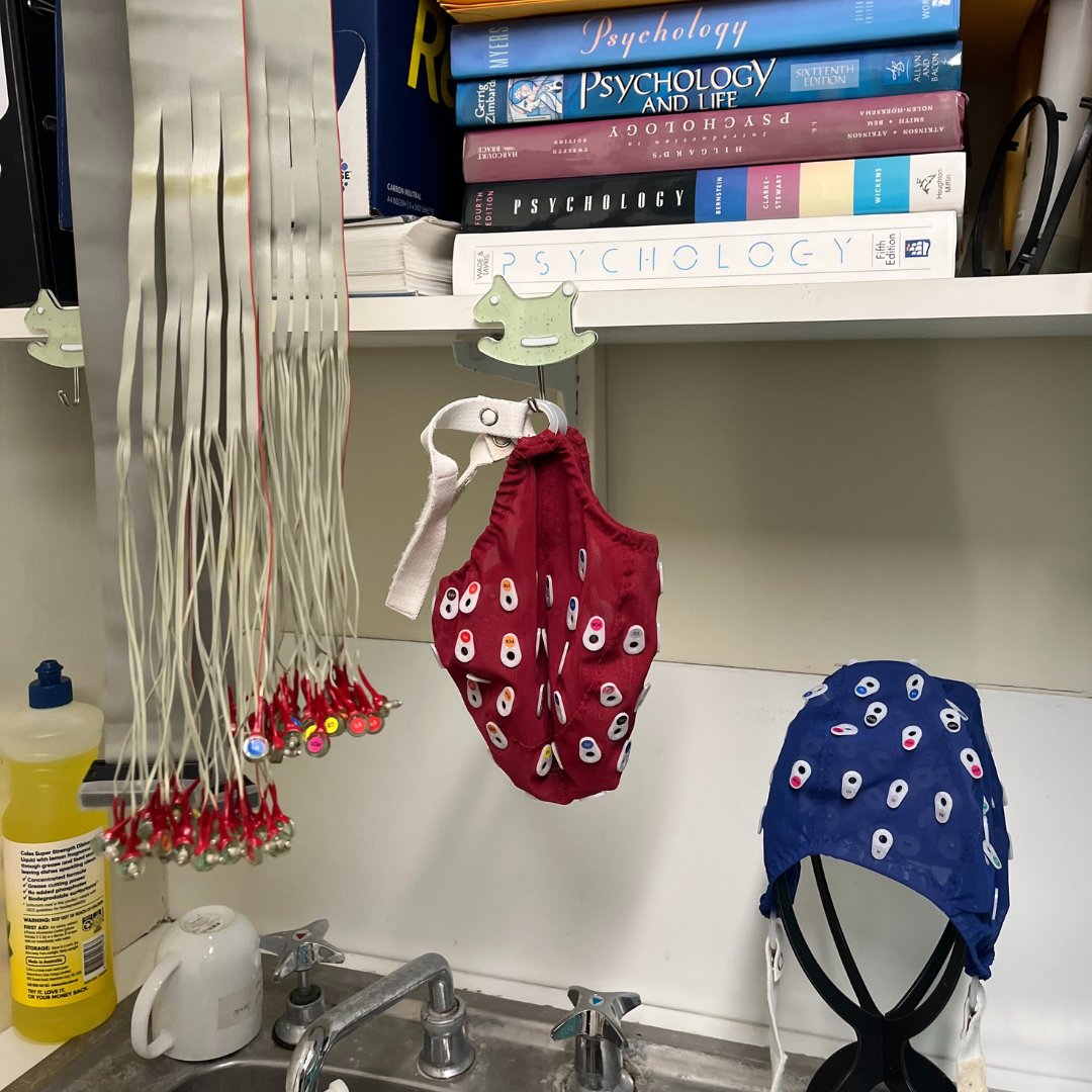 Students of Brain Research (SOBR) tweet media