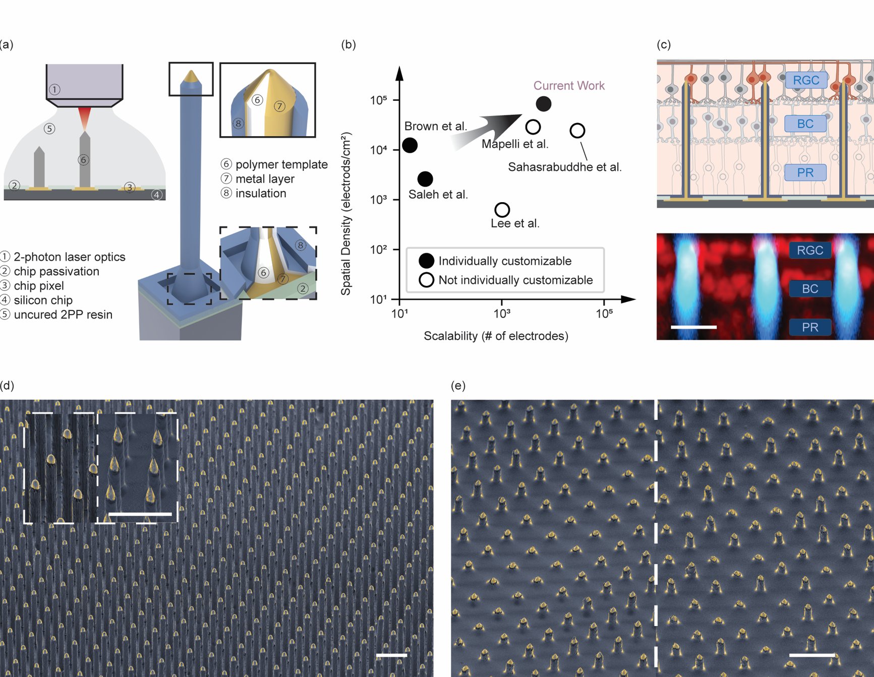 Research, Stanford Artificial Retina Project