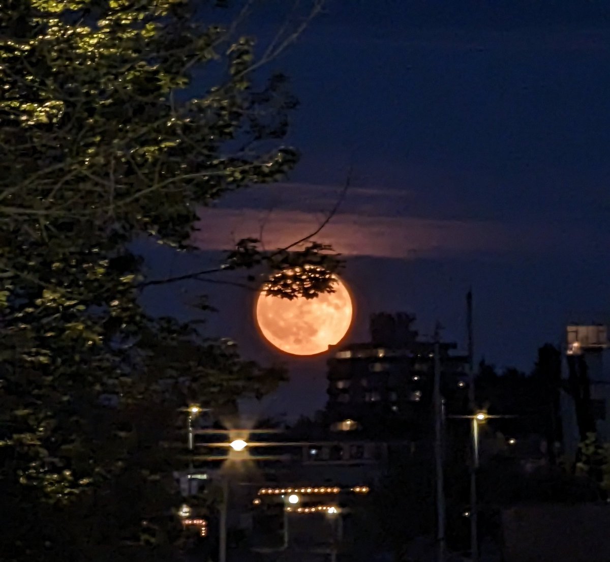 Simon Backer tweet media