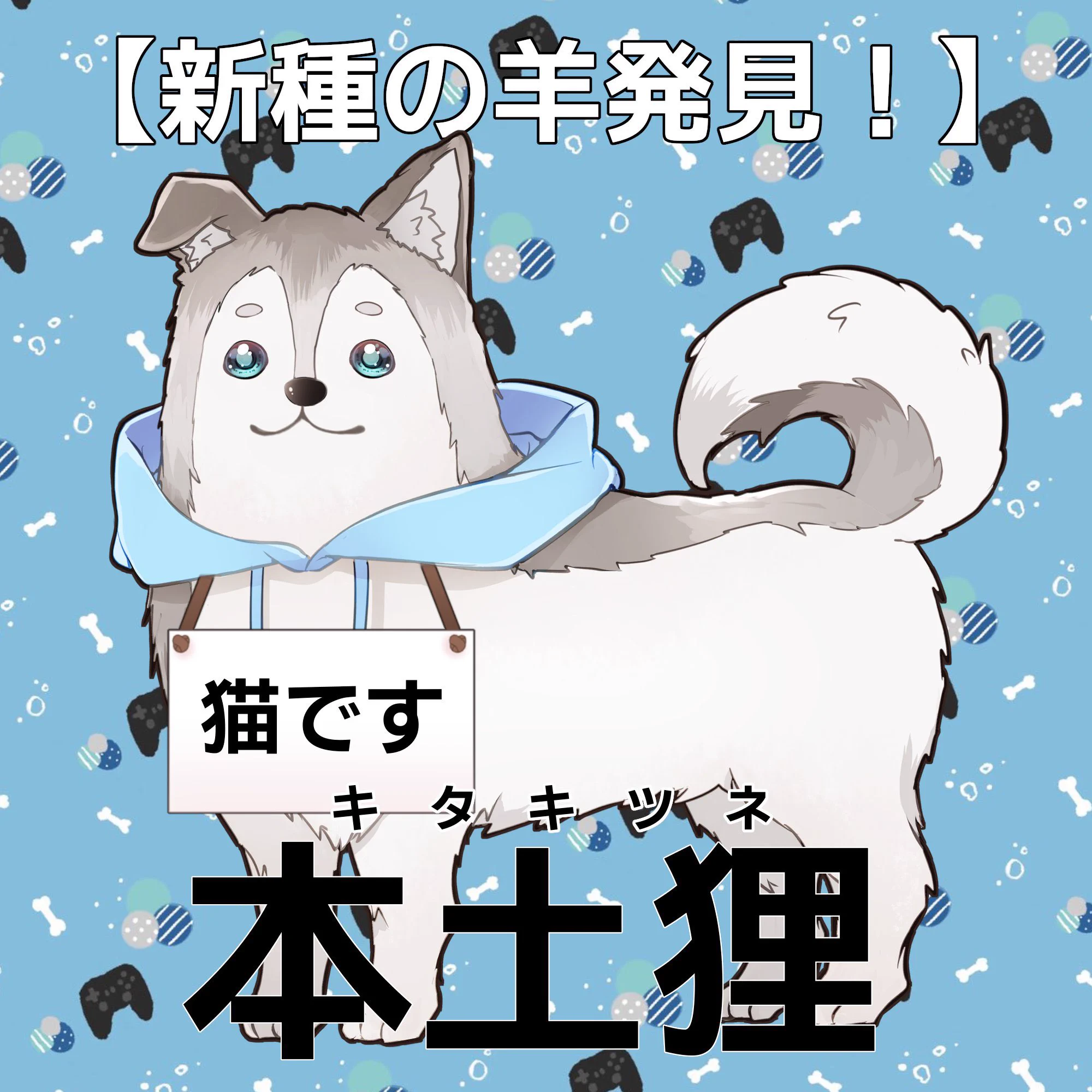 本土狸(キタキツネ)  