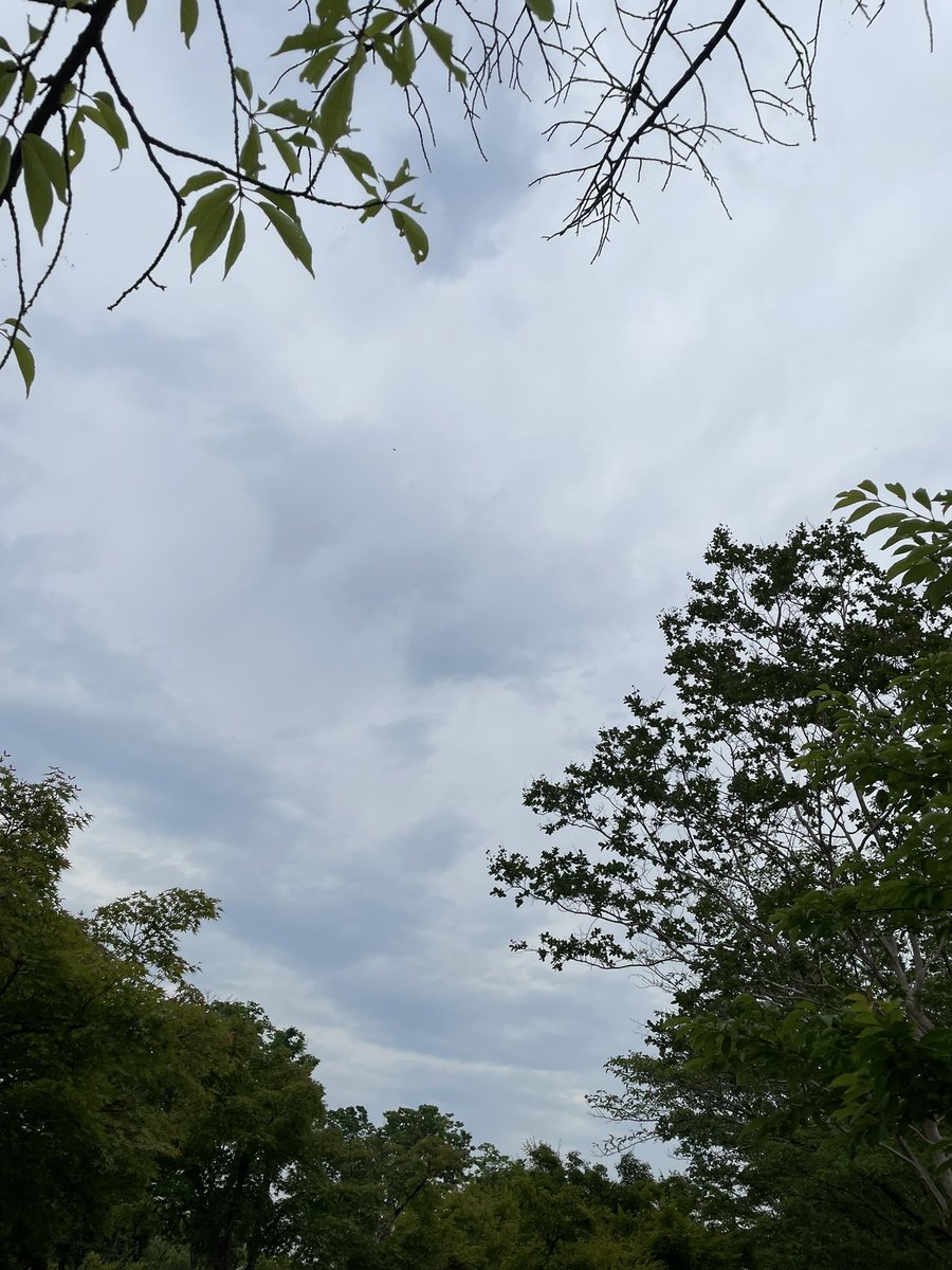 今にも雨が降りそう
さんさん少なめに☔️
#イマソラ