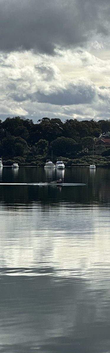 colster's tweet photo. Iron Cove. #Sydney #earthporn @abcsydney #australia https://t.co/OlxtK54uJP