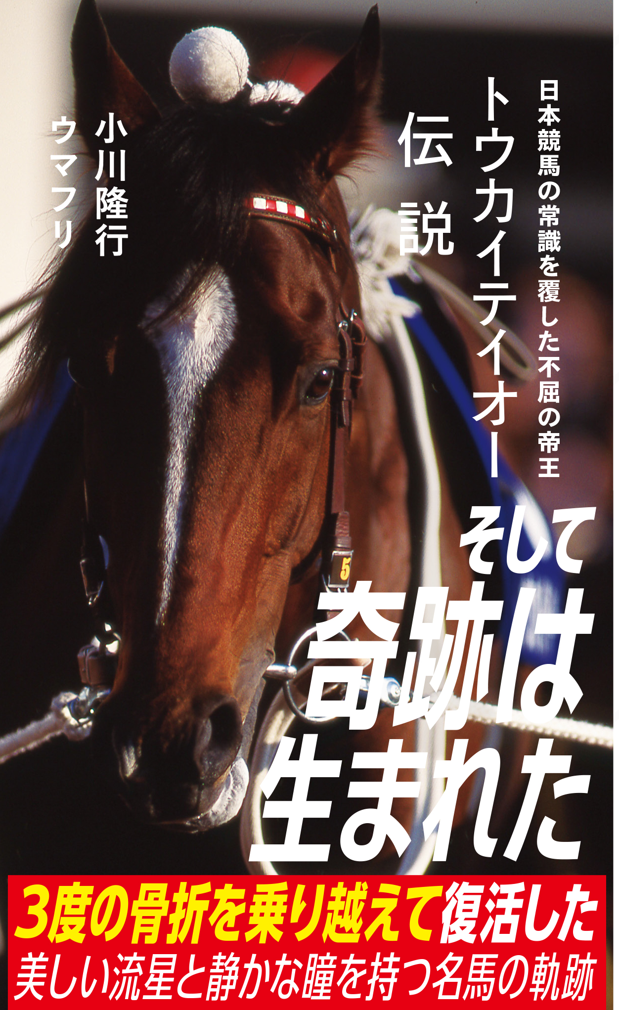 Amazon.co.jp: タペストリー 大判 トウカイテイオー ポスター