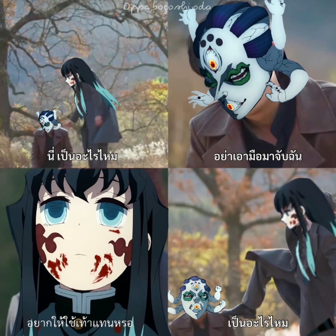 meaowchiiˊᵕˋ tweet media