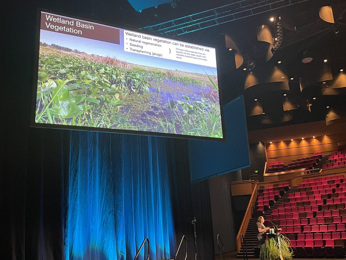 Bek Grieger (@bek_grieger) on Twitter photo Krista Kirkham sharing some reflections on her time in agricultural wetlands highlighting the importance of natural veg regeneration as a cost effective planting technique #FreshwaterDownUnder <a href="/AusFreshwater/">Australian Freshwater Sciences Society (AFSS)</a> <a href="/BenthosNews/">Freshwater Science</a> Krista Kirkham sharing some reflections on her time in agricultural wetlands highlighting the importance of natural veg regeneration as a cost effective planting technique #FreshwaterDownUnder <a href="/AusFreshwater/">Australian Freshwater Sciences Society (AFSS)</a> <a href="/BenthosNews/">Freshwater Science</a>