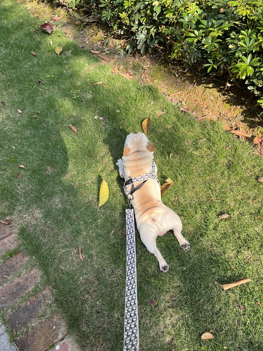 AirJordanTheme's tweet image. My parents are not around, my daughter is not around, my husband passed away, and now it is the only thing that can accompany me