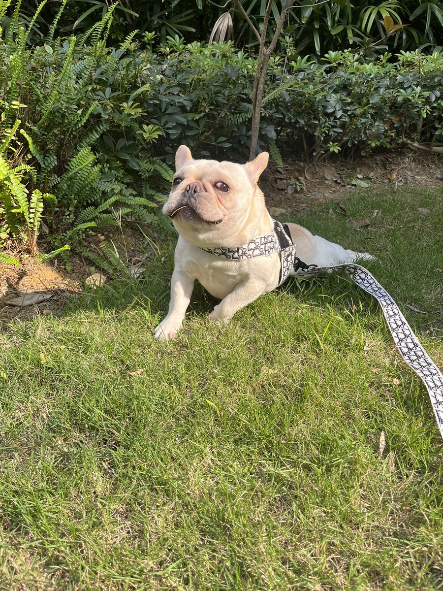 AirJordanTheme's tweet image. My parents are not around, my daughter is not around, my husband passed away, and now it is the only thing that can accompany me