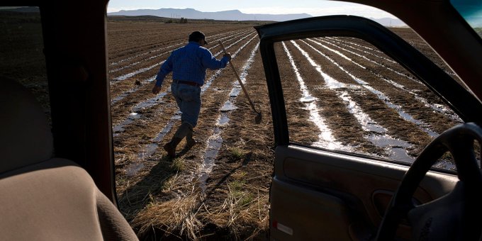 For the first time in Wisconsin history, it's so dry the crops can't germinate in soil.