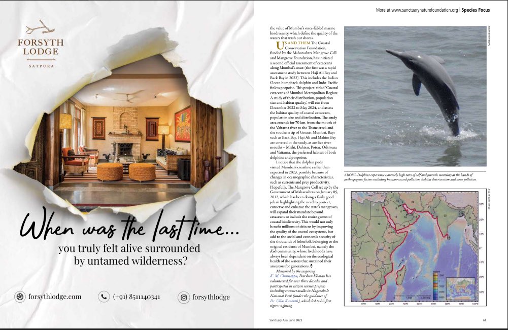 My article on #IndianOceanHumpbackDolphins seen off the coast of #Mumbai in #SanctuaryAsia #SousaPlumbea #IndiAves #cetacean #delfinidae #Dolphins #Endangered #marinemammal #marinewildlife #mumbai #natgeoindia #Nature thank you @BittuSahgal @SanctuaryAsia