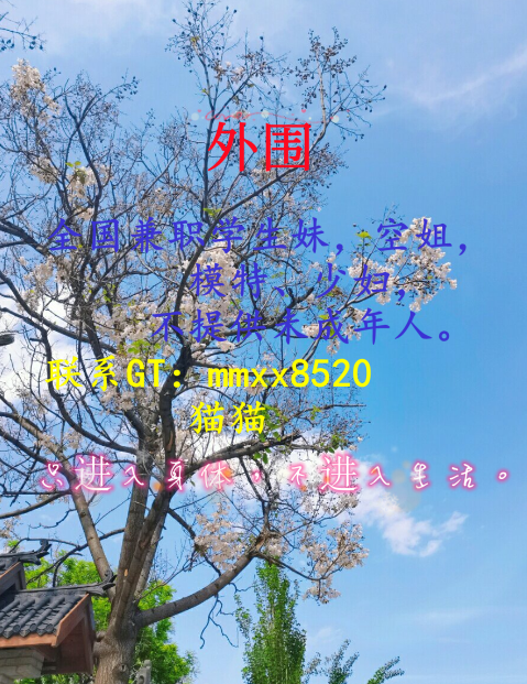 Everyone's path to success may not be the same, but I believe that success requires every person who wants to succeed to strive hard, and every path to success is full of obstacles. Only those who firmly believe in their goals and constantly strive can achieve the ultimate