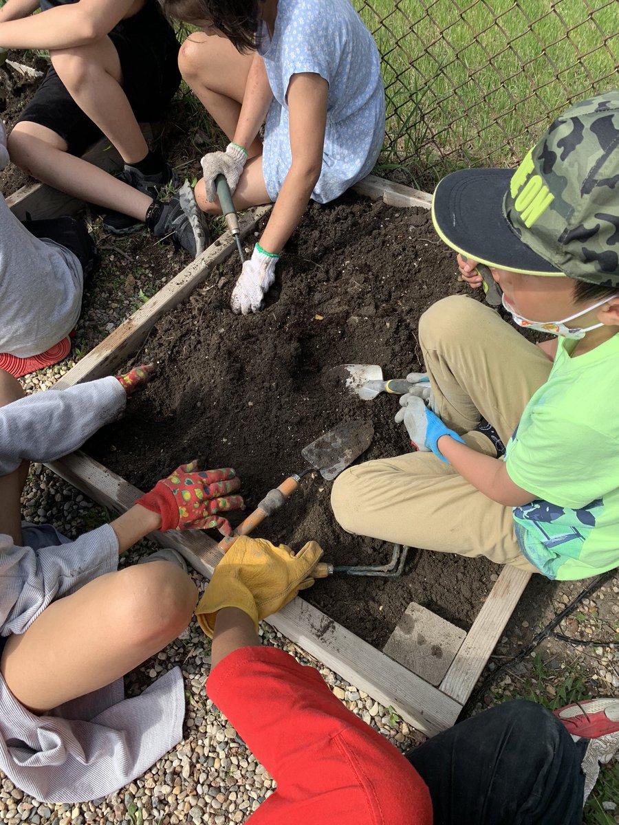 June 5 <a href="/Albert_School/">Albert School</a> <a href="/RegPublicSchool/">Regina Public Schools</a>  we are giving life to plants and the community quote from Beading Sweetgrass YA ‘ In some Indigenous languages, the term for plants translates to ‘those who take care of us’ #NationalIndigenousHistoryMonth ♥️