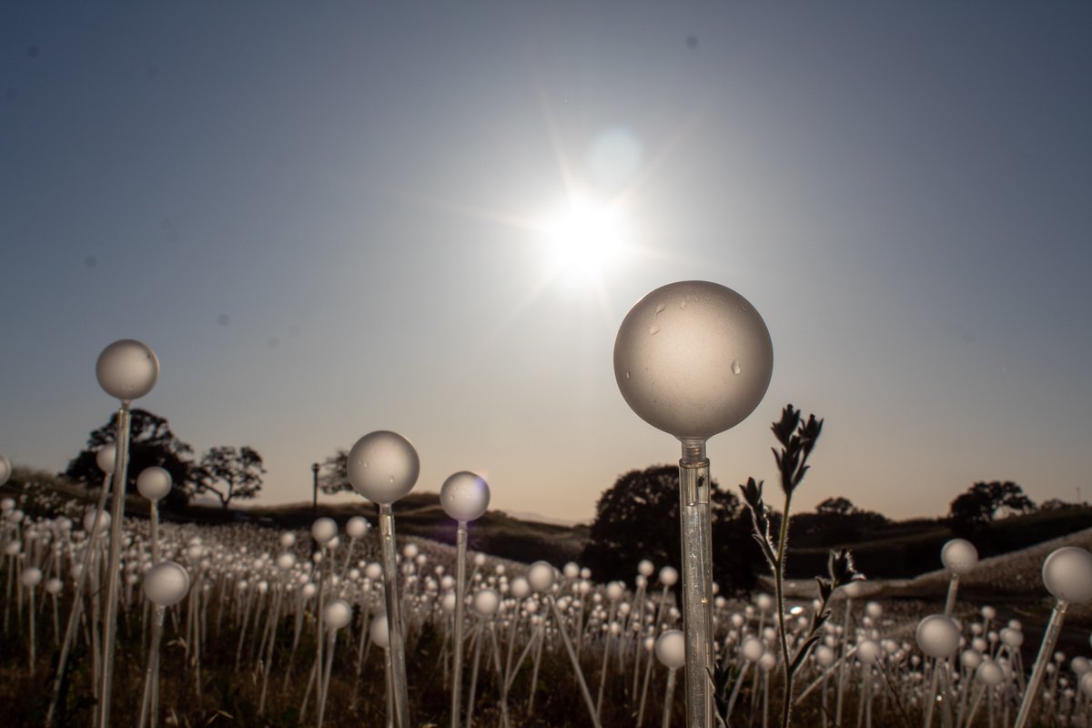 Bring that special someone to Sensorio for live music! This weekend's performers include: Vintage Renegades, Jaxon Camaero, Taylor Lewis, and Asher Stern. (Better yet, upgrade to the extra romantic Terrace Experience!) For more information, please visit sensoriopaso.com.