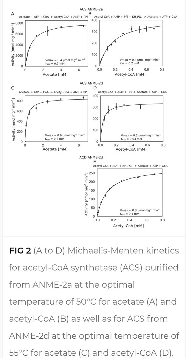 msmjetten's tweet photo. Congratulations to Acetate and Acetyl-CoA to Metabolism of ANME-2 Anaerobic Archaeal Methanotrophs by @HeleenOuboter @steffie_frisch @CUWelte
@KurthJu1 et al # microbiology @RIBESresearch
Good activities with ACD &amp; ACS, hardly any methane from 13C acetate https://t.co/yTYPI6OWYy https://t.co/q2fXucWlRw