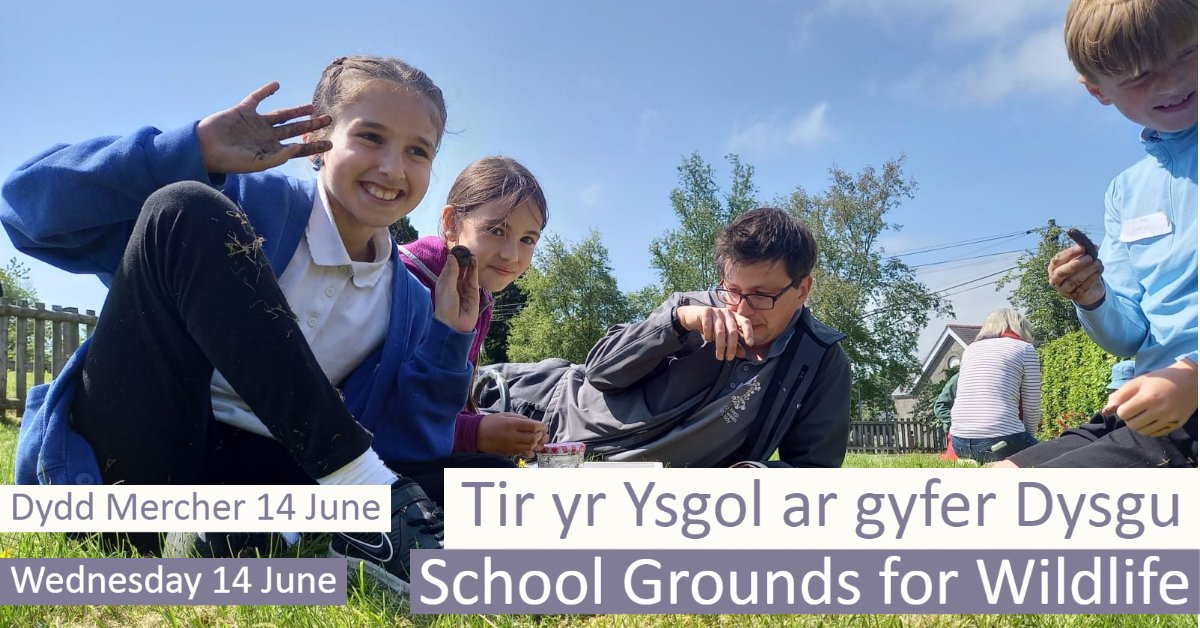 EcoSchoolsWales's tweet photo. 🌿 Unlock your school grounds' potential this term with our virtual teacher training! Explore wildlife habitats, outdoor learning, and the link to the curriculum with Eco-Schools Wales.

👉 https://t.co/OdQZWFH1tf 

🌎📚 #NatureEd #SchoolGrounds #OutdoorLearning #TeacherTwitter https://t.co/AziDhGJSsk