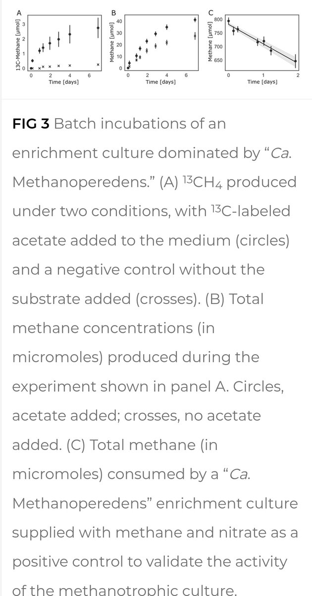 Congratulations to Acetate and Acetyl-CoA to Metabolism of ANME-2 Anaerobic Archaeal Methanotrophs by <a href="/HeleenOuboter/">Heleen Ouboter</a> <a href="/steffie_frisch/">Stefanie Frisch</a> <a href="/CUWelte/">Cornelia Welte</a>
<a href="/KurthJu1/">Julia Kurth</a> et al # microbiology @RIBESresearch
Good activities with ACD &amp; ACS, hardly any methane from 13C acetate journals.asm.org/doi/10.1128/ae…