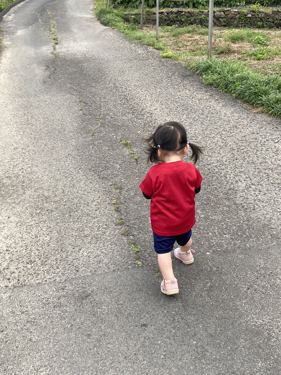 pp_aao17's tweet photo. 成長は早いことで
もう1歳半👶🏻
お姉さんになったねぇ🥹💗 https://t.co/vD65I7NOXo