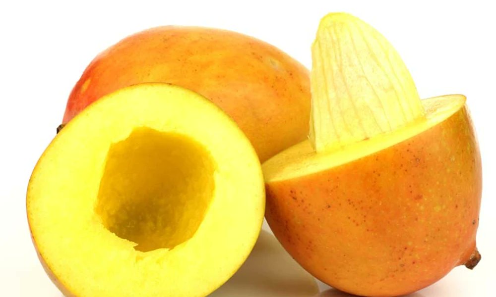 Mango Seed: ಮಾವಿನಹಣ್ಣಿನ ವಾಟೆಯ ಉಪಯೋಗ ತಿಳಿದರೆ ಎಂದೂ ಬಿಸಾಡಲಾರಿರಿ!

#vistaranewskannada #vistaranews #mangoseed #MangoBenefits

 vistaranews.com/lifestyle/heal…