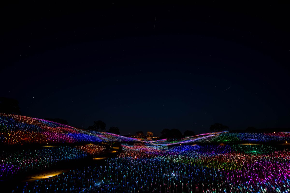 All you have to do is enjoy Sensorio on June 25 and two groups will benefit! For each ticket purchased for that evening, $20 will go towards <a href="/conservationamb/">Conservation Amb.</a> and @prcity ($10 each organization). More info at: sensoriopaso.com.