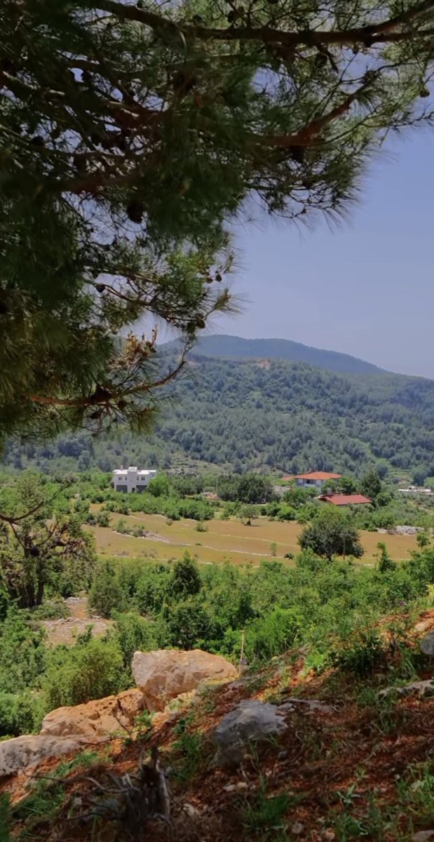 zelal_bahadr's tweet photo. Roj baş 🌞Tetwan 🌺🍀 https://t.co/kox2MOLvJE