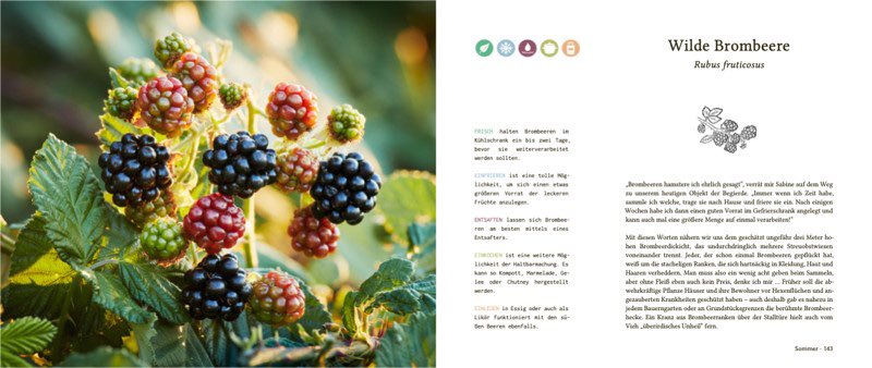 Landschaftspflege tweet media