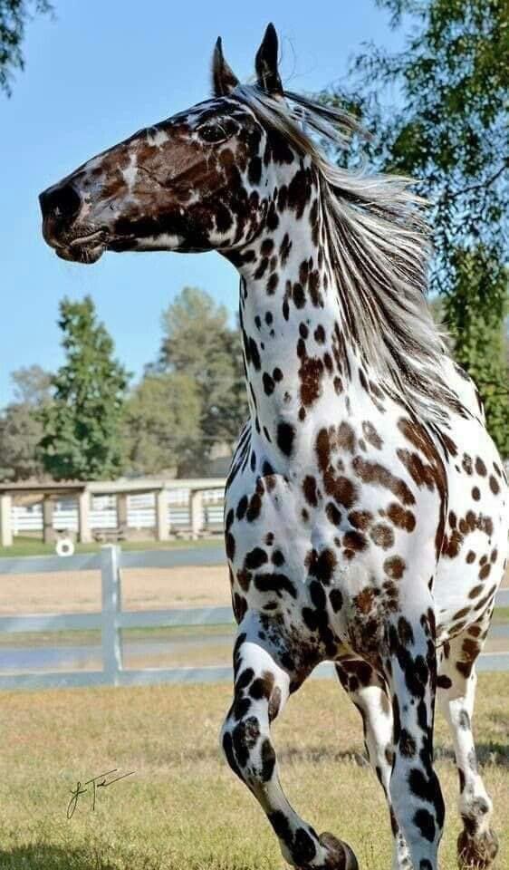 NATURALEZAV3's tweet image. Hermoso.